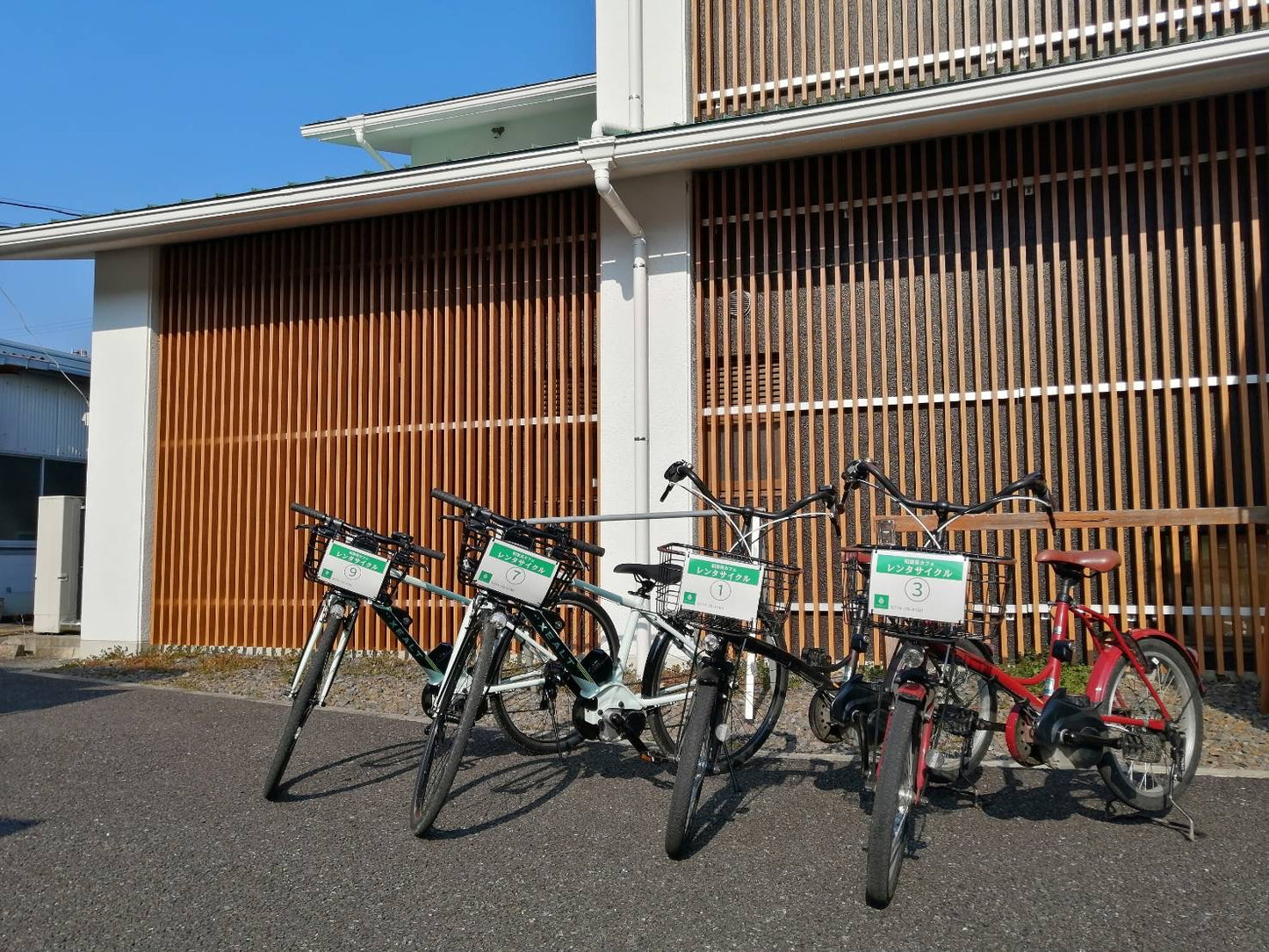 Bicycle rental for one day (reservation)