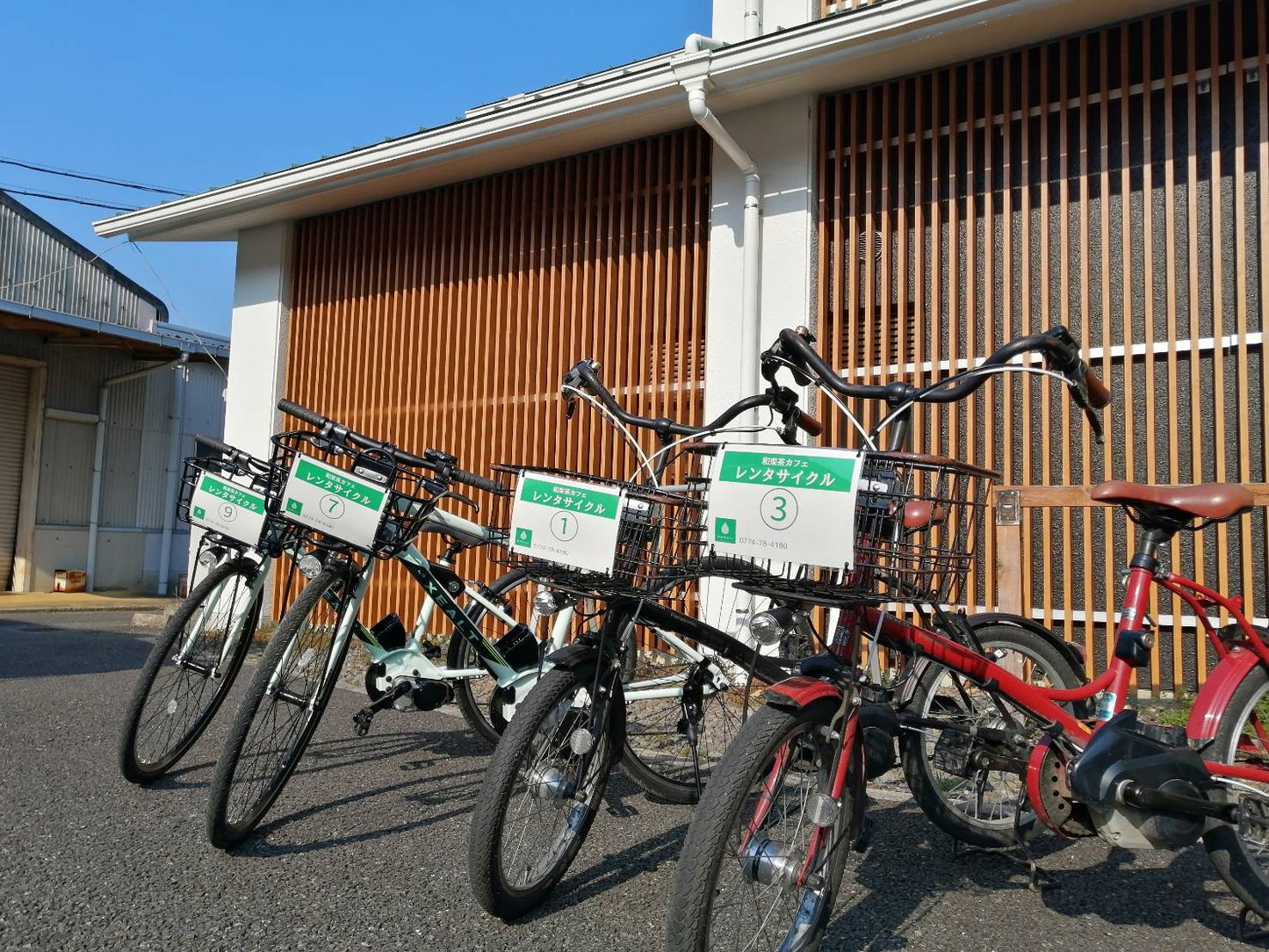 Bicycle rental for one day (reservation)